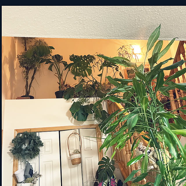 rojoさんの実例写真