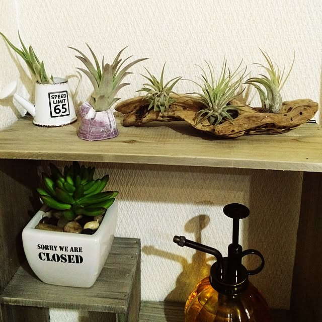 Seiさんの実例写真