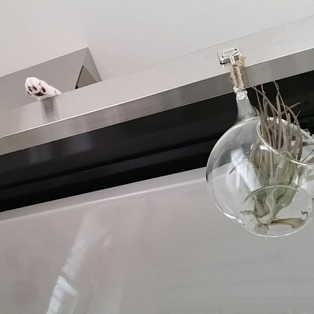 runayucoさんの実例写真