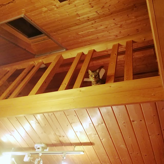 Maki-nekomamireさんの実例写真