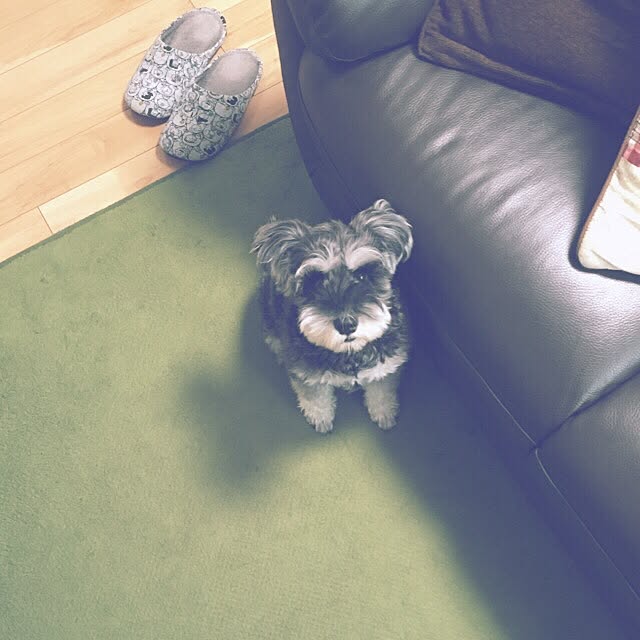 tamaeさんの実例写真