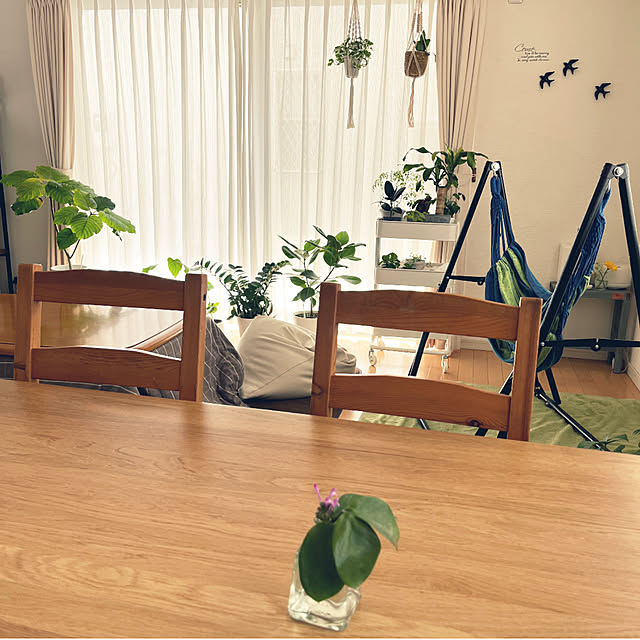 823smileさんの部屋