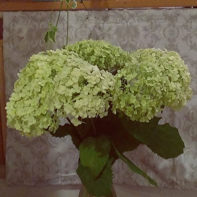 mi-tsuさんの部屋