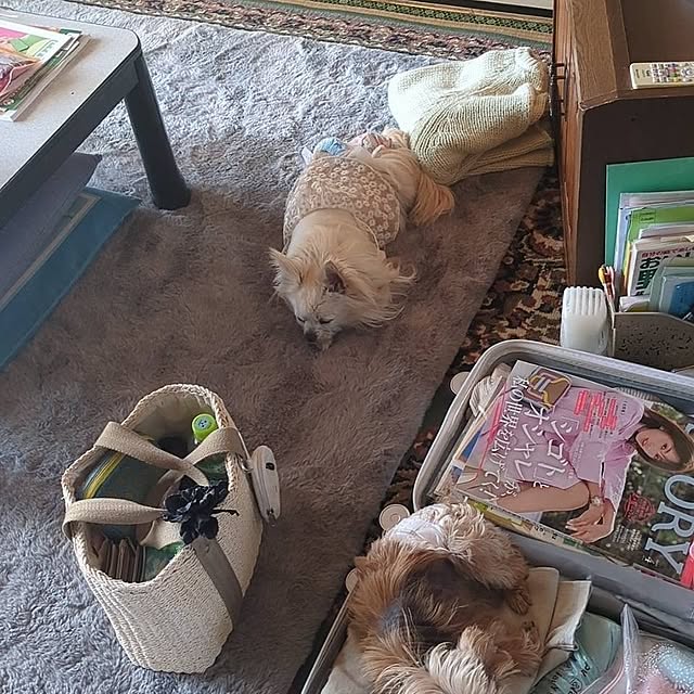 minnieさんの部屋