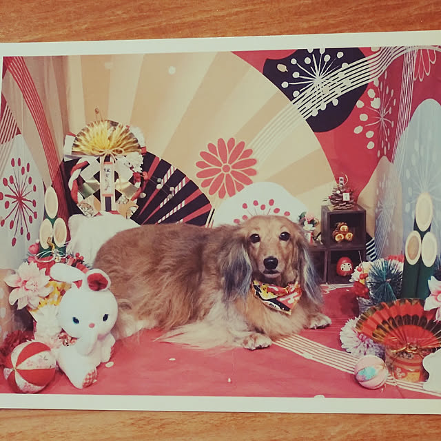 rikachakoさんの実例写真