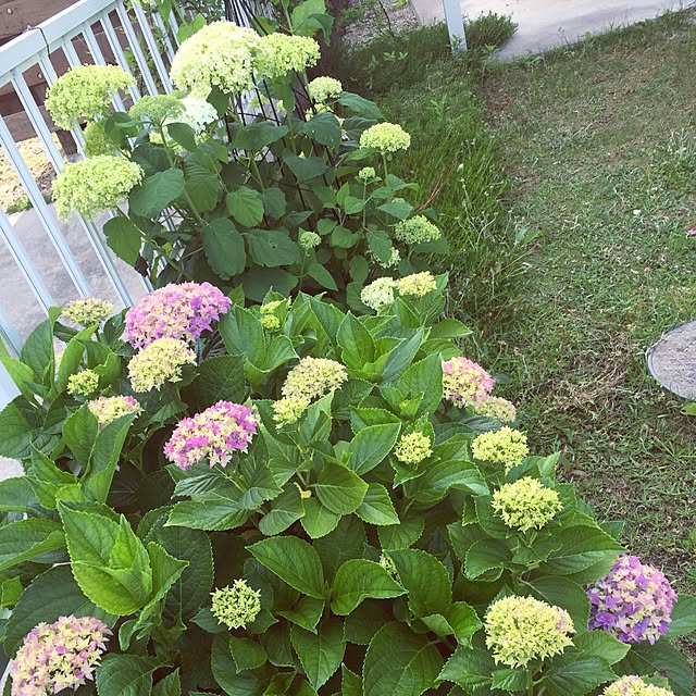 mom39さんの実例写真