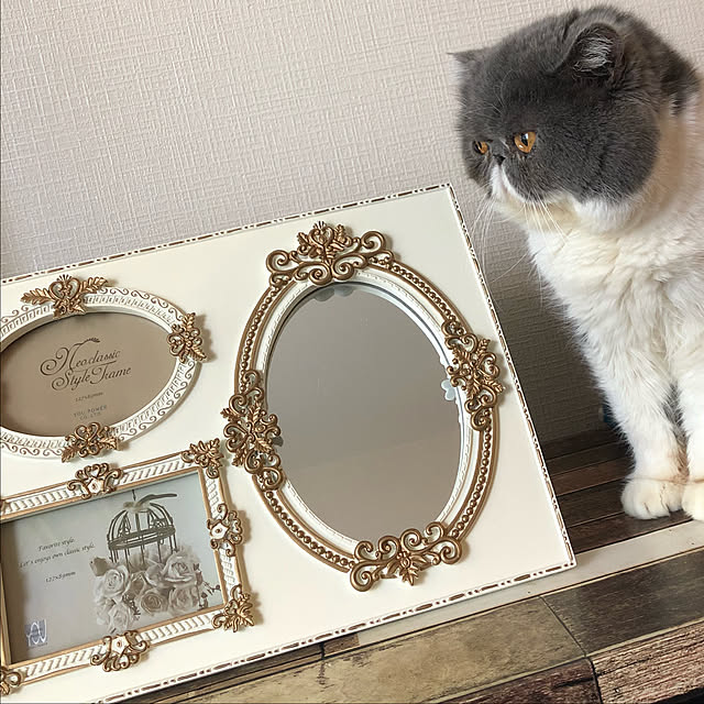 uriさんの実例写真