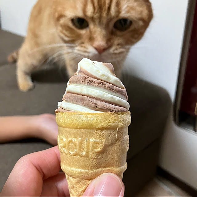 nekoさんの実例写真
