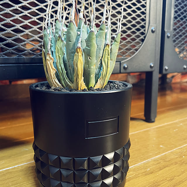 c.kさんの実例写真