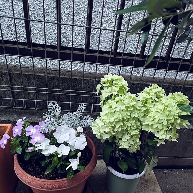 Shion+さんの実例写真