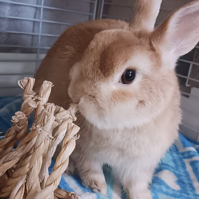 aiさんの部屋