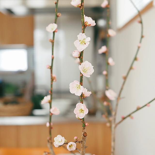 kago.さんの部屋