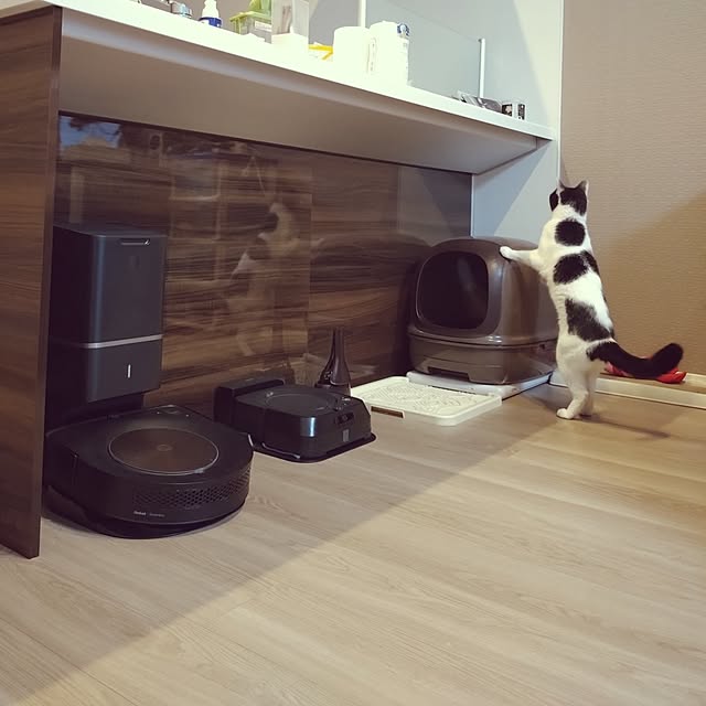 NOAHさんの部屋