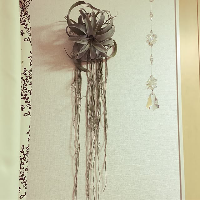 kyaoriさんの実例写真