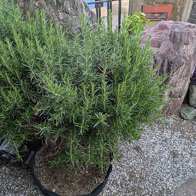 minnieさんの部屋