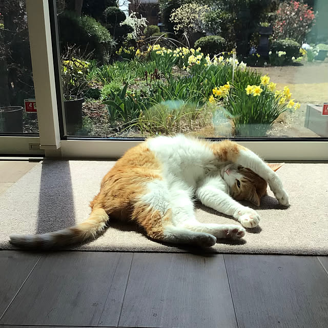 houenさんの部屋