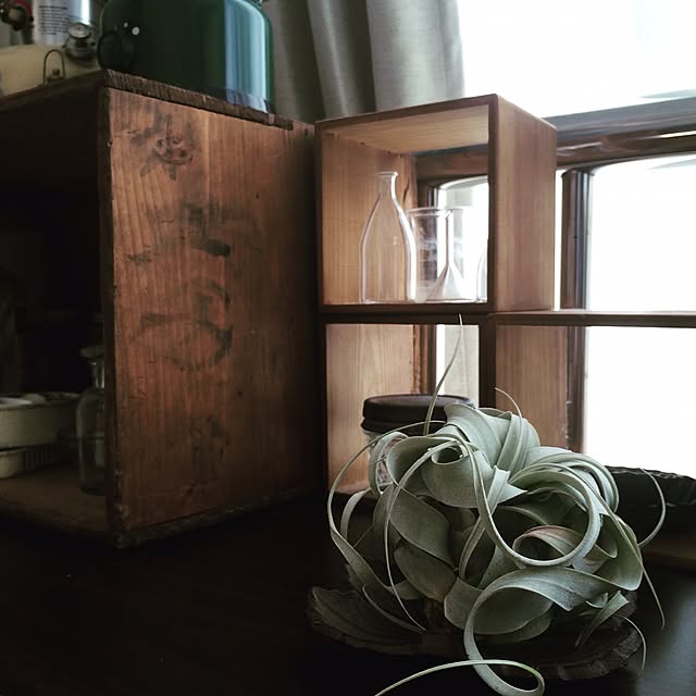 natsumikanさんの実例写真