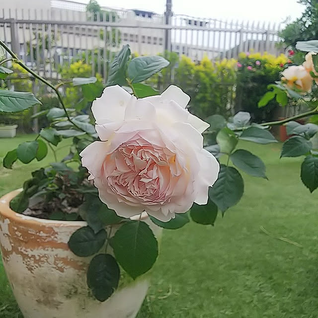 hiromimiさんの実例写真