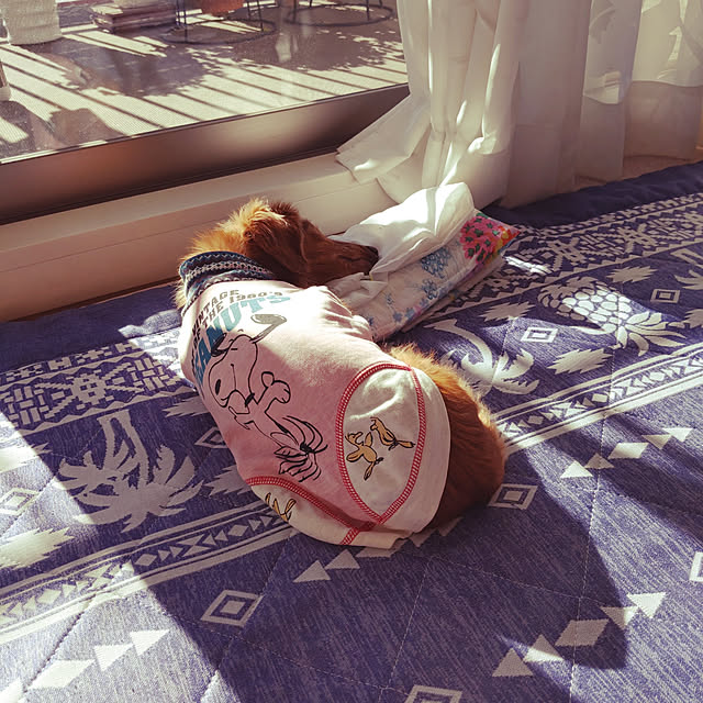 akariさんの実例写真