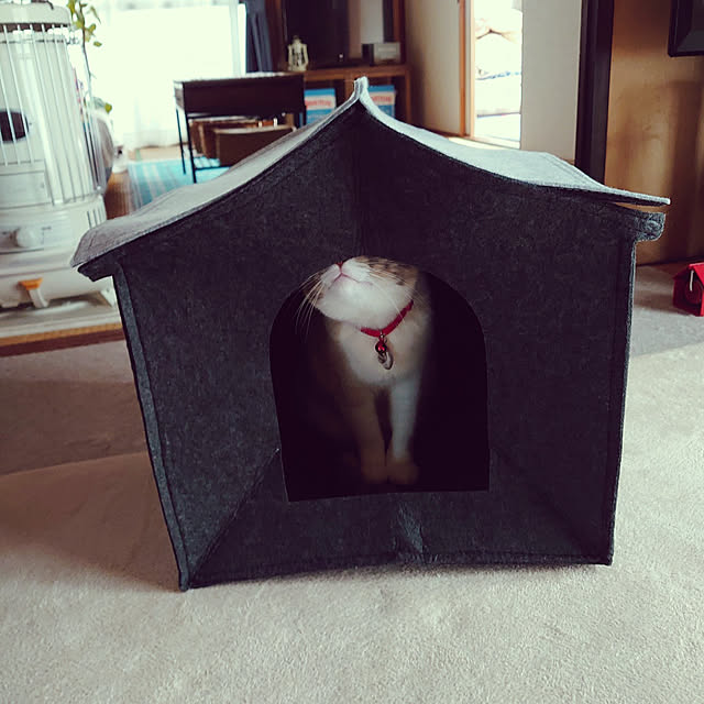 fukuさんの実例写真