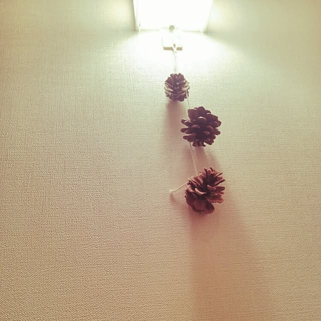 kaloさんの実例写真