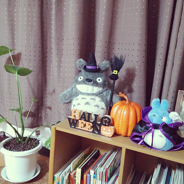 aquaさんの実例写真