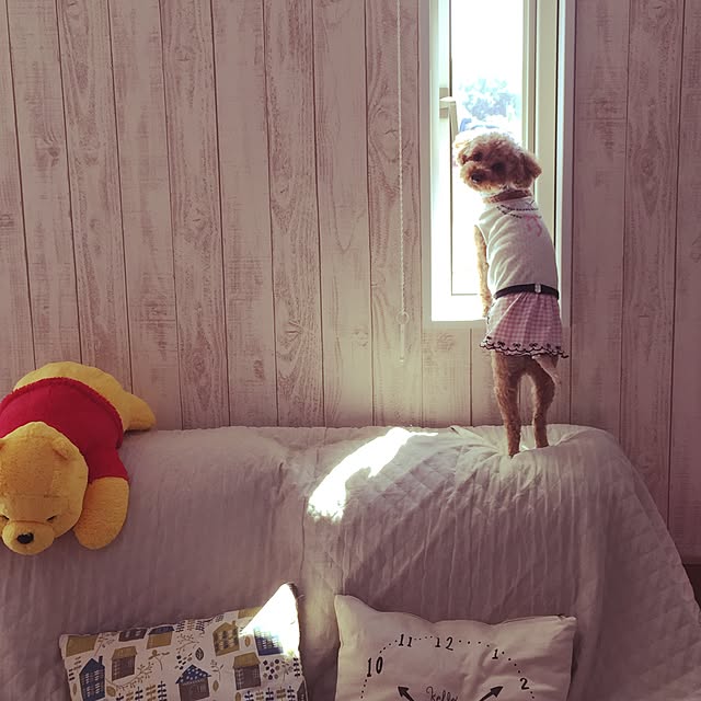 yueさんの実例写真