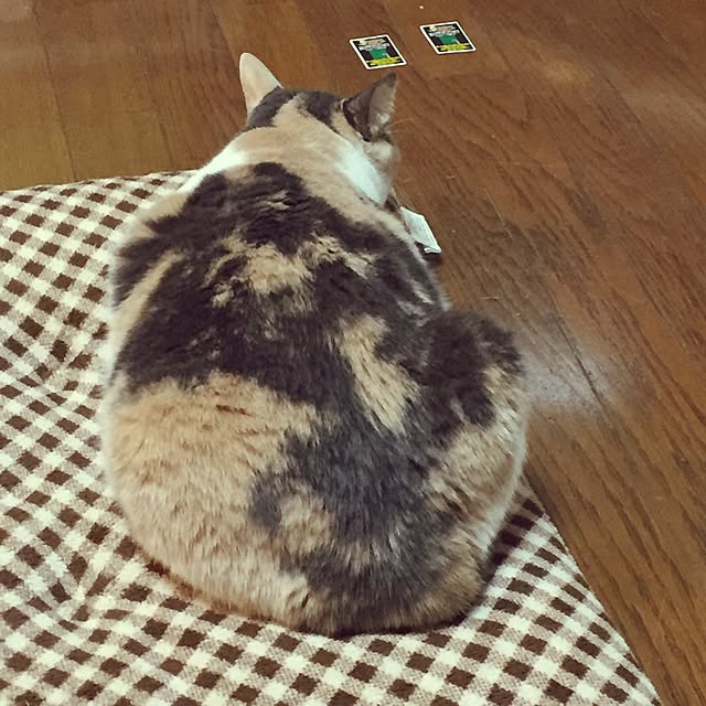 yumasukeさんの実例写真