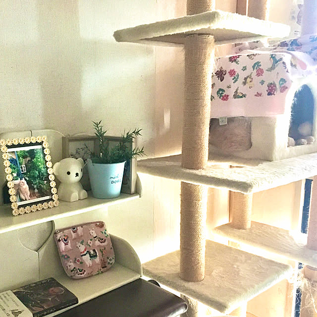 naokoさんの部屋