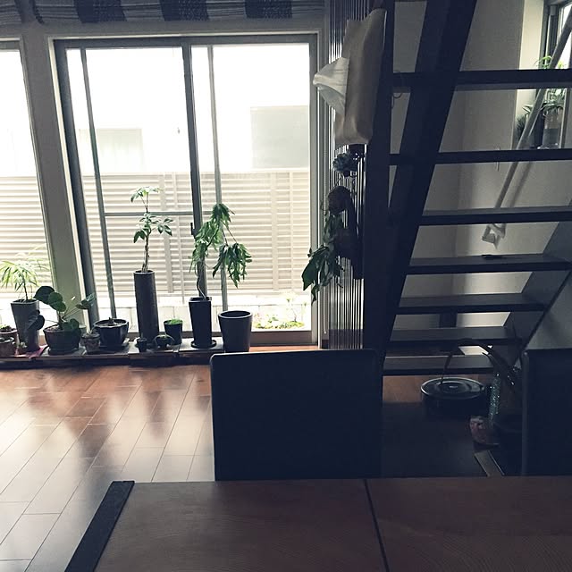 yuyuさんの実例写真