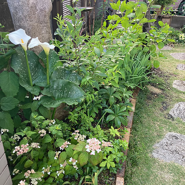 mamaさんの実例写真