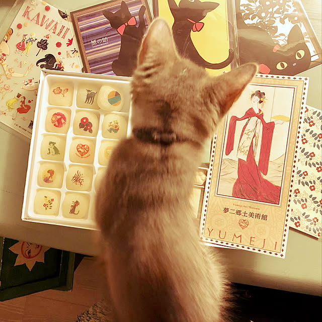 paradise_viewさんの実例写真