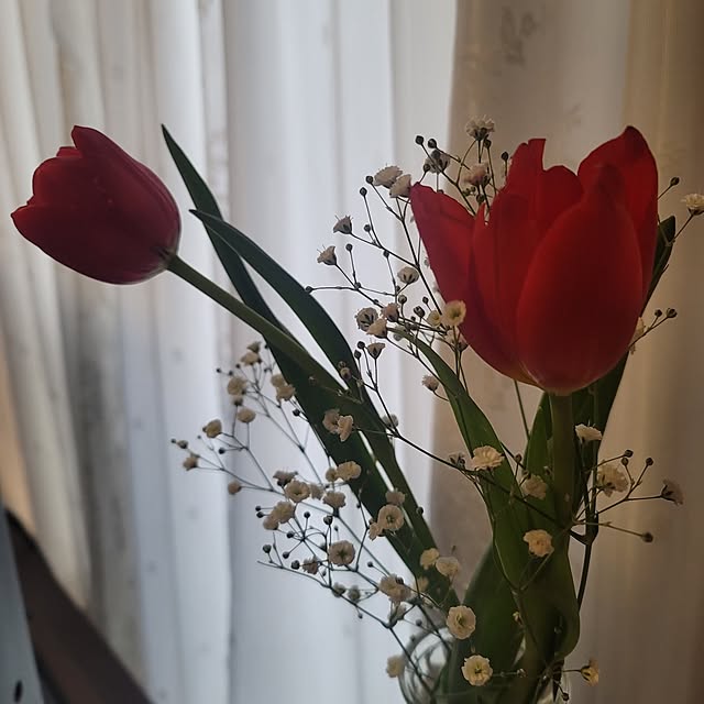 VIORAさんの実例写真