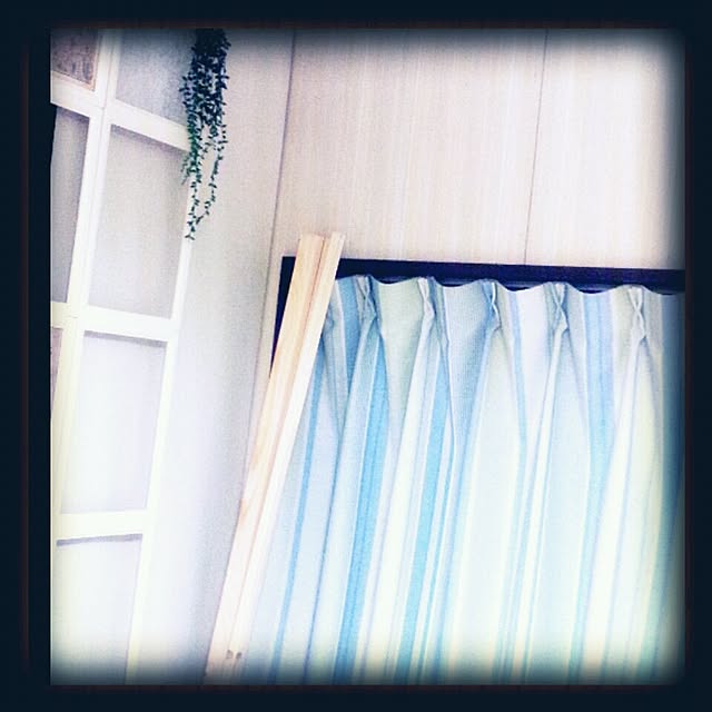 dolphin24さんの実例写真