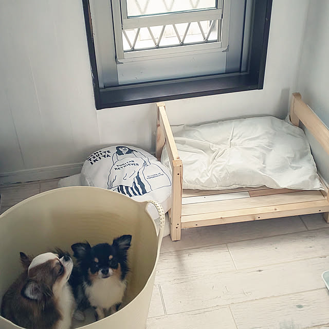M_house_officialさんの実例写真