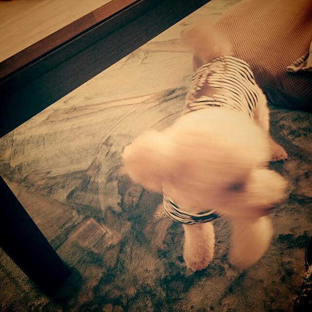 su--さんの実例写真