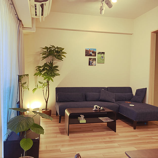 観葉植物/無印良品/リビングのインテリア実例 - 2022-02-19 23:11:34