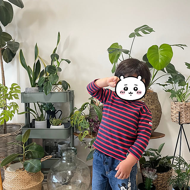 manchanさんの部屋