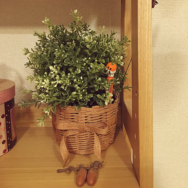 chilchilさんの実例写真