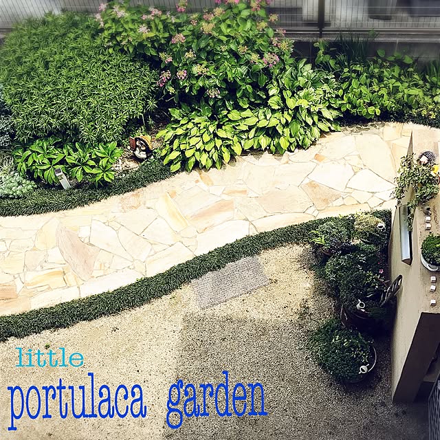 portulacaさんの実例写真