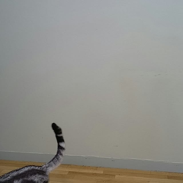 simaumaさんの実例写真