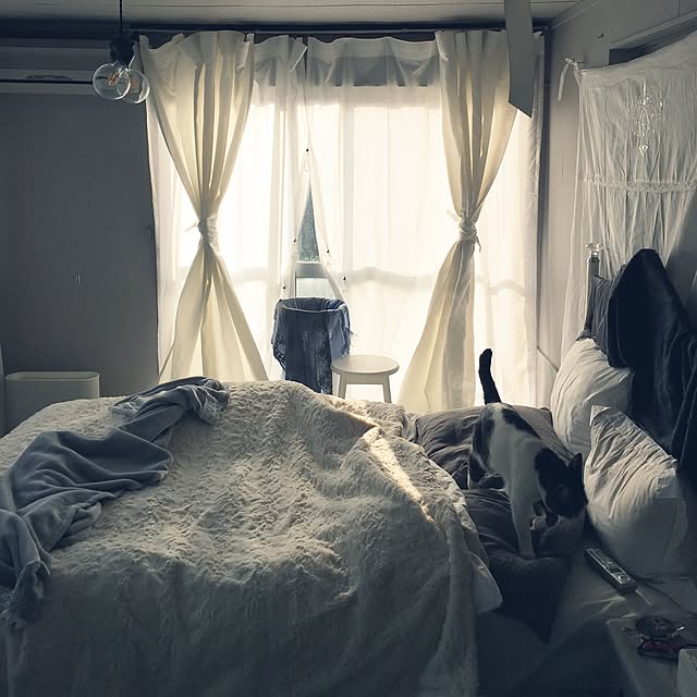 Shihoさんの実例写真