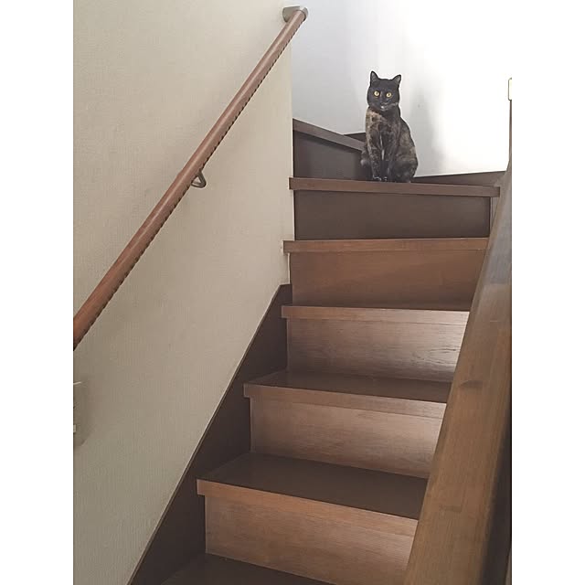 Ryoさんの実例写真