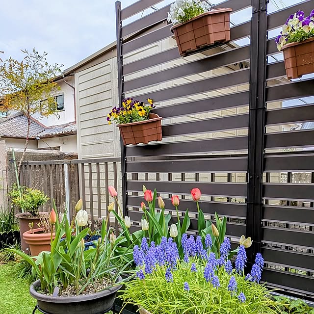 Renさんの実例写真