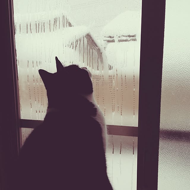 nanaさんの実例写真