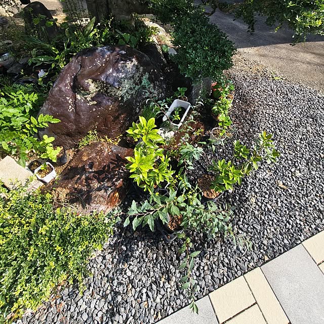 Rubiconさんの部屋