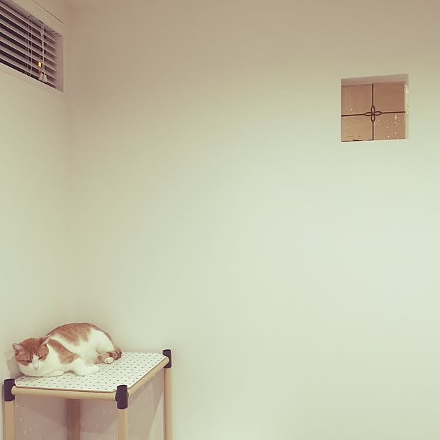 myk93さんの実例写真