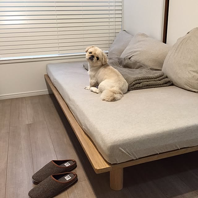 nuiさんの実例写真