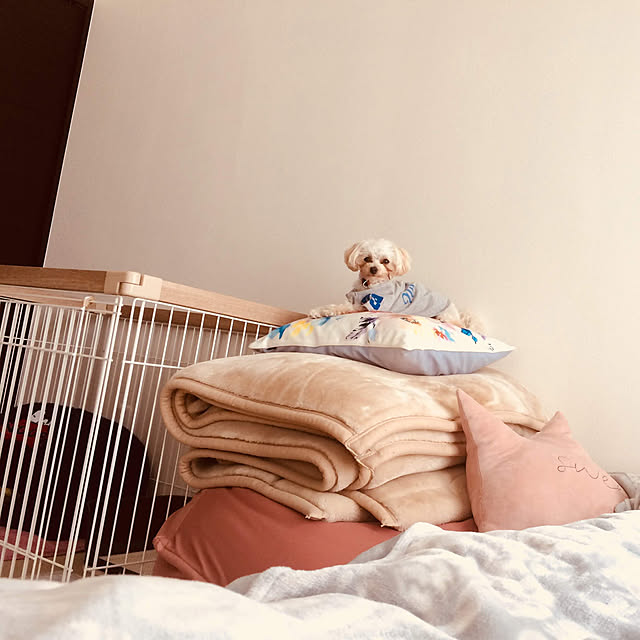 guraさんの実例写真