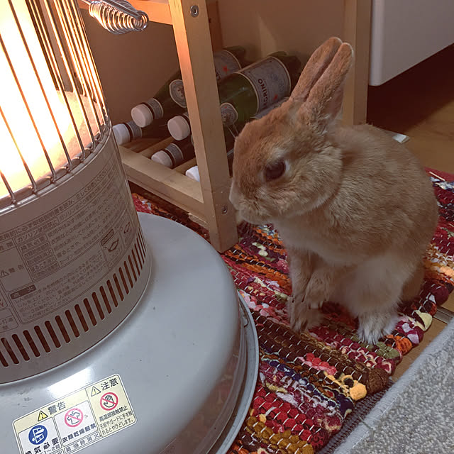 mimichankさんの実例写真